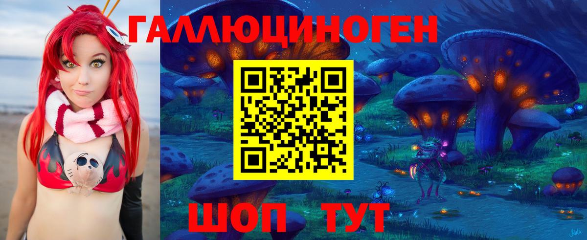 Галлюциногенные грибы Psilocybe  Вход с VPN  Северобайкальск 